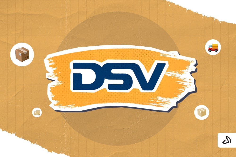 DSV logo with an orange paint stroke at the back