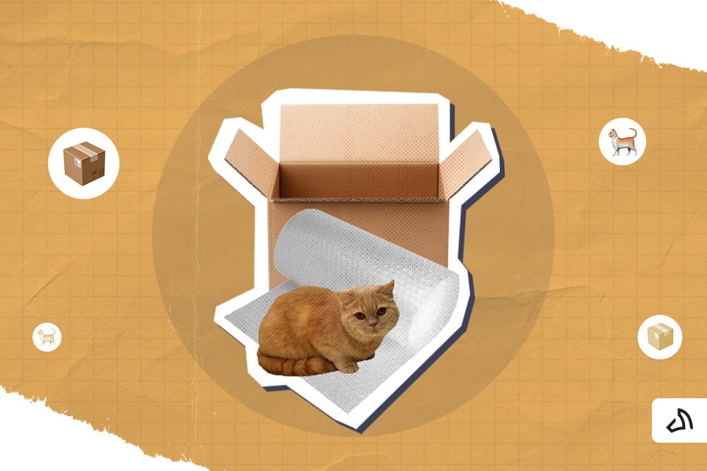 A box with a bubble wrap and a cat on top