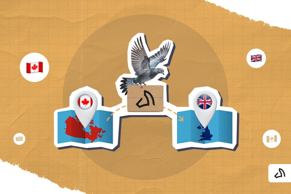 Gray pigeon carrying a parcel with Stallion logo between maps of Canada and the UK.